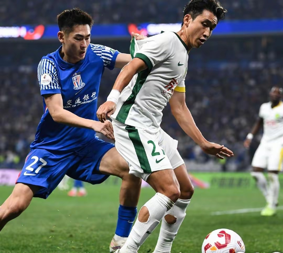 上海申花锋线火力全开，主场大胜对手的简单介绍