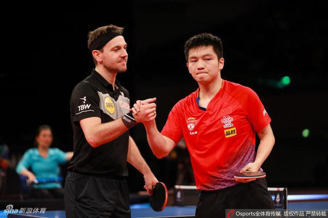 关于奥地利乒乓球队绝杀比利时乒乓球队，波尔爆发神勇的信息